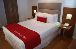 The Strathcona Hotel Downtown Toronto-Executive Queen-